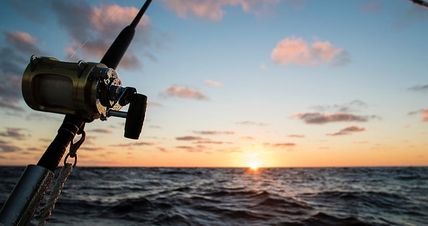 The Boating App’s  Best Fishing Tools  